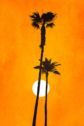 Tableau scandinave Sunset palm imprimé sur toile 30x45cm