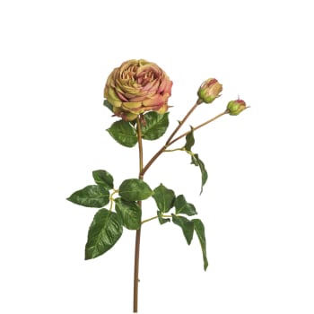 Agathe - Tige de rose artificielle verte H55