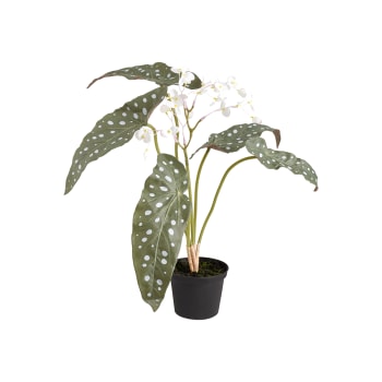 Planta begonia con flores en maceta artificial verde h56