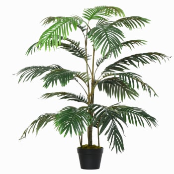 cycas revoluta vaso 20 75 cm incluso il vaso - Vivaio Annese