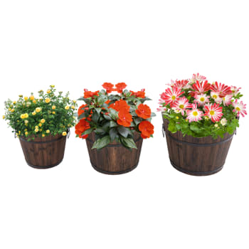 Outsunny - Set 3pz vasi secchielli di diverse dimensioni per piante legno marrone