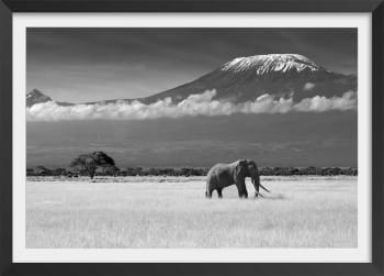 Affiche éléphant et kilimanjaro avec cadre noir 45x30cm