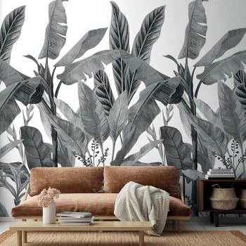 Papel pintado panoramico de bosque de abedules 525x250 Blanco y negro