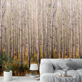 Dark Birch - Cadre Mural en Bois - 50 x 70 cm - Noir - Habitat