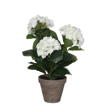 Hydrangea - Hortensia artificial en maceta alt. 40
