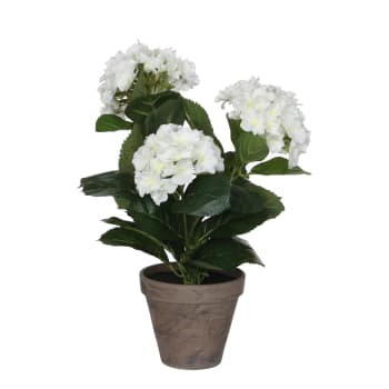 Hydrangea - Hortensia artificielle blanc en pot H40