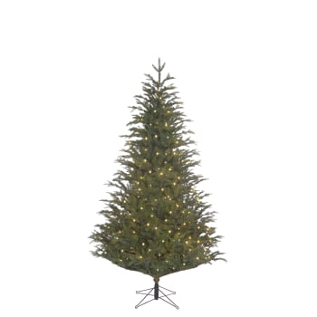 Frasier - Künstlicher Weihnachtsbaum mit LED-Beleuchtung H185