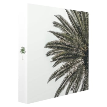 Palmier - Album photos pochettes blanc et vert 200 photos 11,5x15 cm