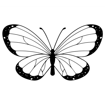 Wanddekoration Schmetterling aus Metall, 70x39 cm, schwarz