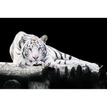 Tableau noir et blanc léopard sur toile imprimée - Prix bas Declina