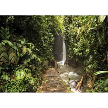 Nature évasion - Tableau sur toile forêt tropicale 30x45 cm