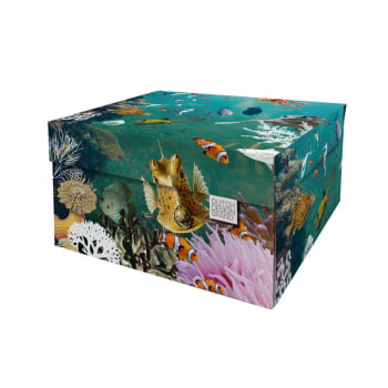Paisley - Caja de almacenaje coral reef 39.5x32x21cm