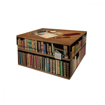 Books - Lot de 2 petites boites de rangement carton multicolore 28x21x14cm