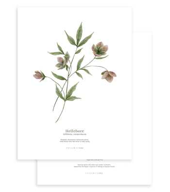 WELLINGTON - Lot 2 affiches enfant fleurs botanique en papier