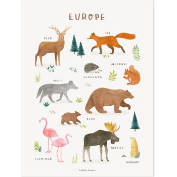 LIVING EARTH - Affiche Animaux d'Europe (30 x 40 cm)