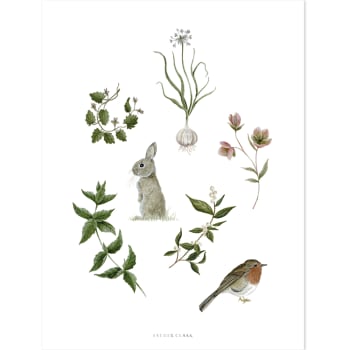 WELLINGTON - Stampa artistica coniglio pettirosso ed erba 30 x 40 cm