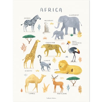 LIVING EARTH - Affiche Animaux d'Afrique (30 x 40 cm)