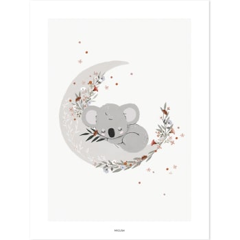 LILYDALE - Stampa artistica koala addormentato 30 x 40 cm