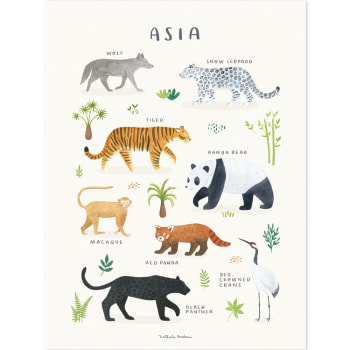 LIVING EARTH - Stampa artistica animali dell'Asia 30 x 40 cm