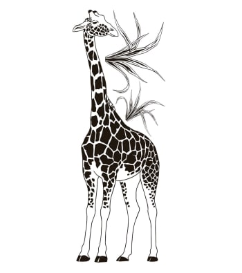 BLACK MAJIK - Grand sticker la girafe en vinyle mat noir
