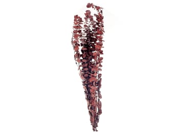 Badajoz - Ramo de flores secas rojo marrón 56 cm