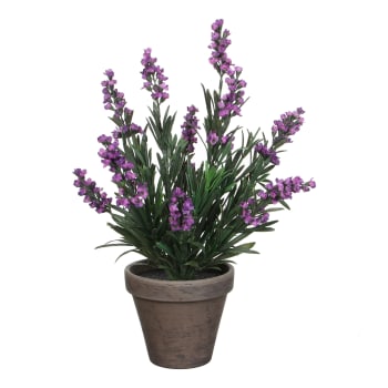 Lavender - Lavanda artificiale viola in vaso alt.33