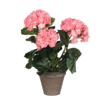 Hydrangea - Künstliche rosa Hortensien im Blumentopf, H40