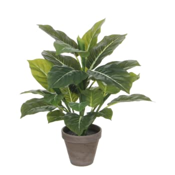 Evergreen - Evergreen artificiale verde in vaso alt.49
