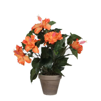 Hibiscus - Hibiscus artificielle orange en pot H40