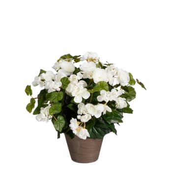 Begonia - Begonia artificial blanco en maceta alt. 37