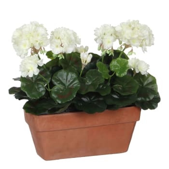 Geranium - Geranio artificiale bianco e fioriera alt.40