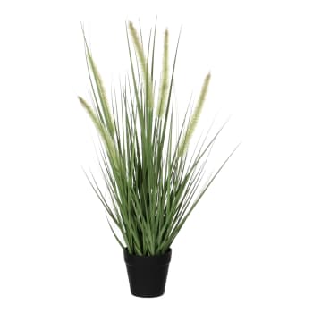 Dogtail - Herbe dogtail artificiale verde in vaso alt.53