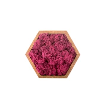 Tableau végétal hexagonal lichen rose 16 x 16 cm