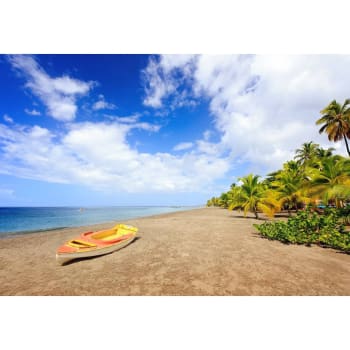 Plage - Tableau sur verre synthétique plage Anse Macabou Martinique 65x97 cm