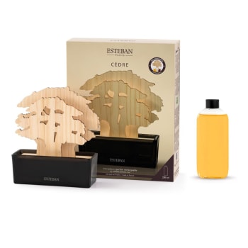 CÈDRE - Arbre àparfum rechargeable