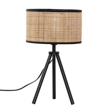 Lampada Da Tavolo In Ferro Palla In Rattan Lampada In Rattan Spago Lampada  Da Notte Usb A Palla Di Canapa Portalampada in ferro con interruttore USB  5V verde : : Illuminazione