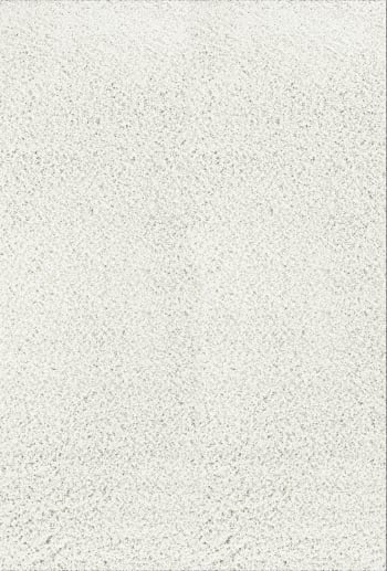Lilly - Alfombra shaggy moderna blanco 160x220