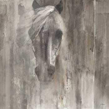 Cuadro acuarela caballo blanco impresión sobre lienzo 50x50cm