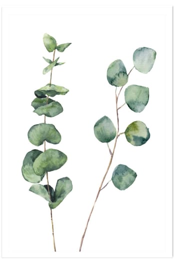 Cartel de naturaleza de hoja de eucalipto. Sin marco 30x45cm