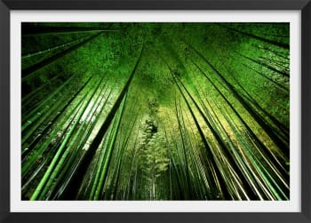 Póster naturaleza bosque de bambúes en kioto con marco negro 60x40cm