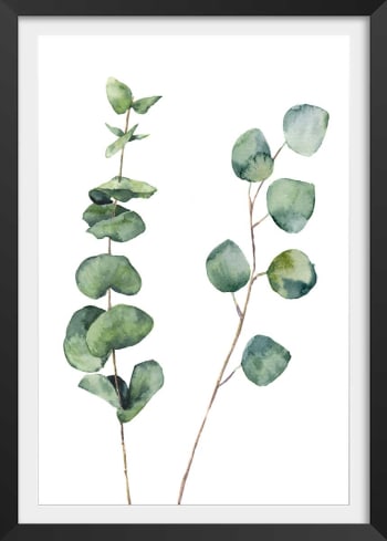 Affiche nature aquarelle feuille d' eucalyptus avec cadre noir 40x60cm