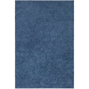 Softy - Tapis à poils longs SOFTY bleu 100x200cm