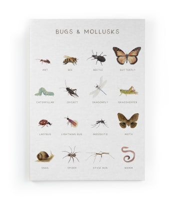 BUGS - Peinture sur toile 60x40 Imprimé Insectes