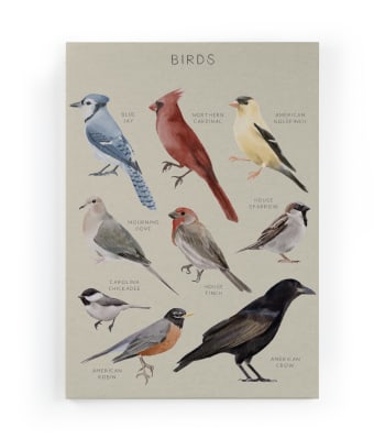 BIRDS - Peinture sur toile 60x40 Imprimé oiseaux