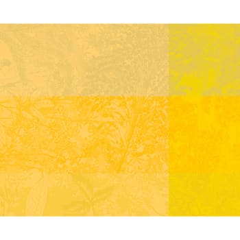 Mille esprit jardin solaire - Set enduit imperméable pur coton jaune 40X50