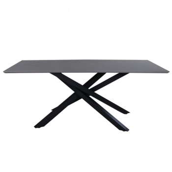 Glavie - Table à manger 180cm plateau bois pieds étoile