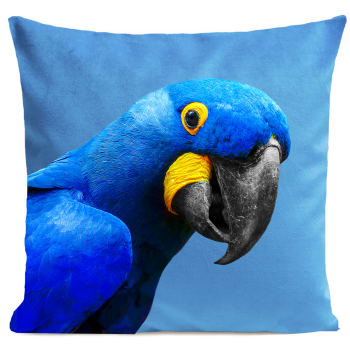Coussin tropical perroquet suédine bleu 40x40cm
