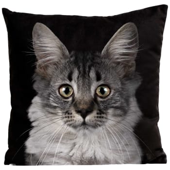 Housse de coussin Chat Napoléon - Bleu · Boutiques de musées