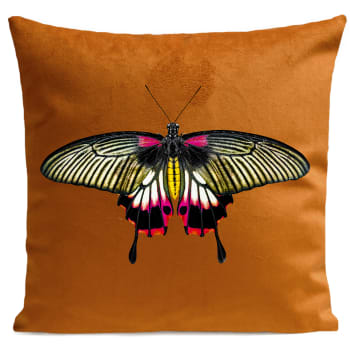 Coussin papillon insecte suédine orange 40x40cm