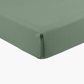 Neo - Drap housse percale de coton uni vert 180 x 200 cm